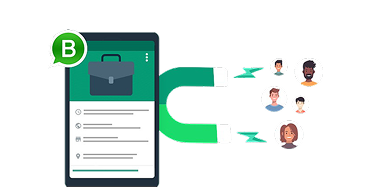 Transparency & Insights